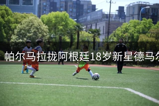 帕尔马拉拢阿根廷18岁新星德马尔蒂斯