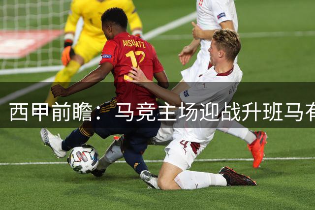 西甲前瞻：马竞主场迎战升班马有望取胜
