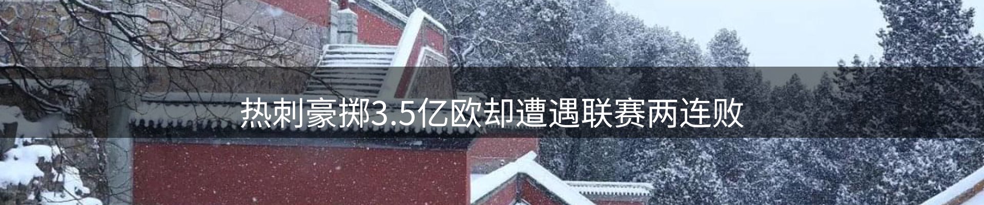 焦点解读