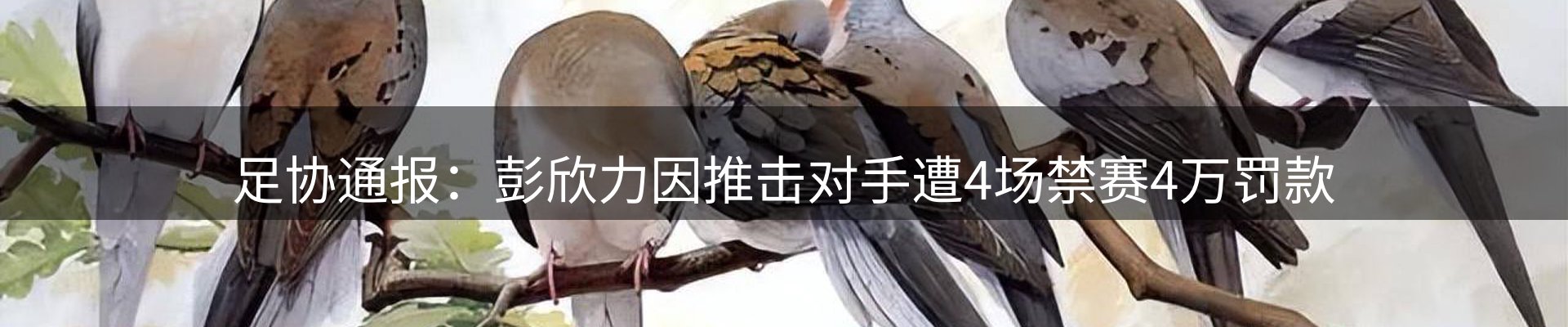 焦点解读